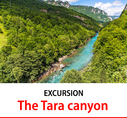 The Tara canyon